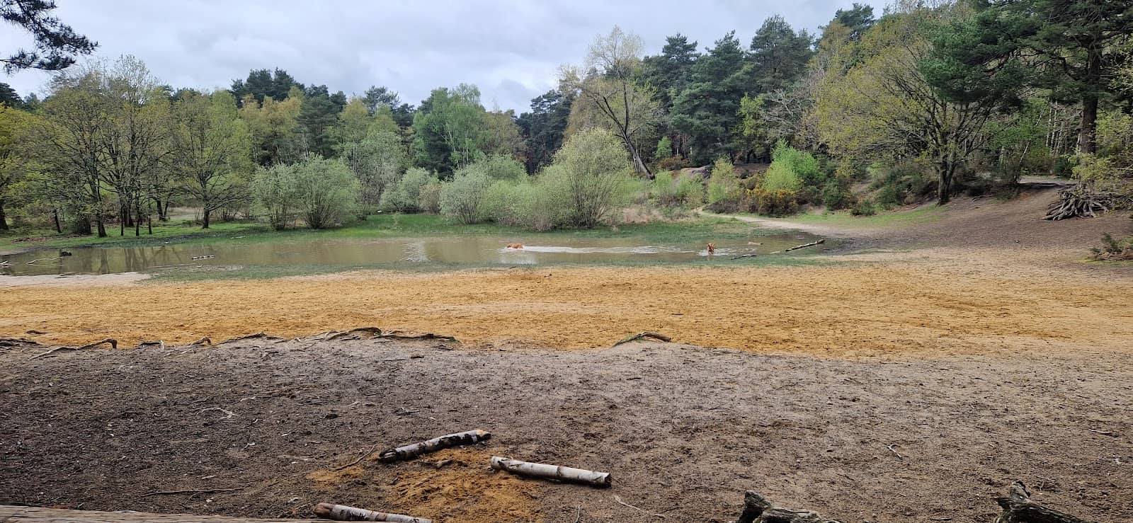 Diverse Natural Habitats