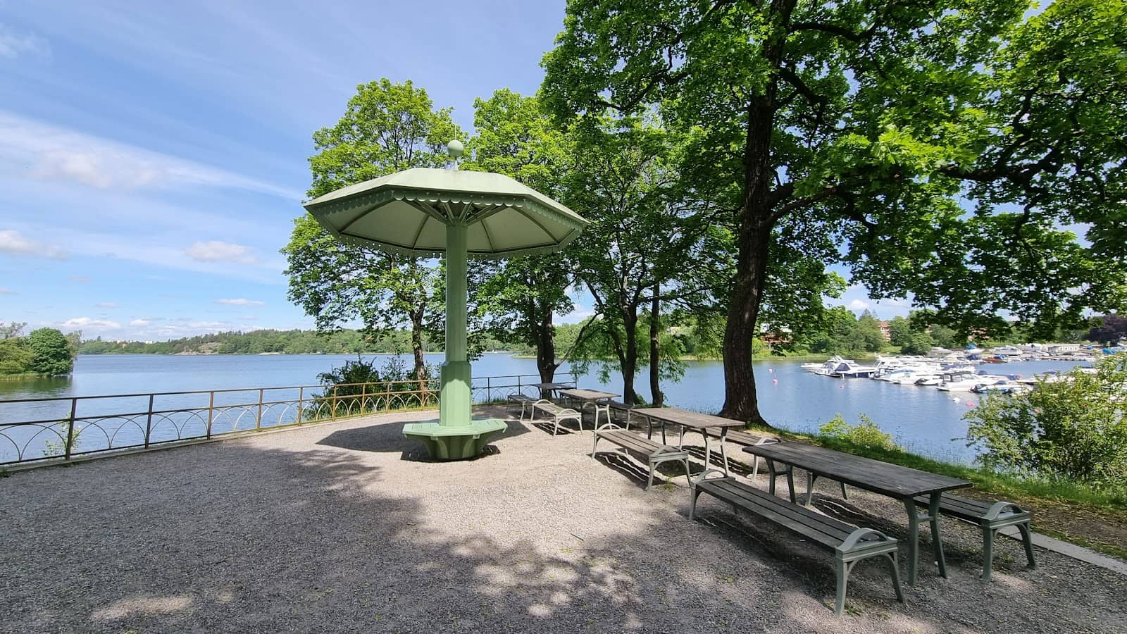 Dog-Friendly Swimming Areas