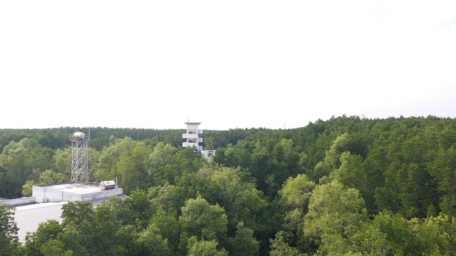 Can Gio Biosphere Reserve - Image 1