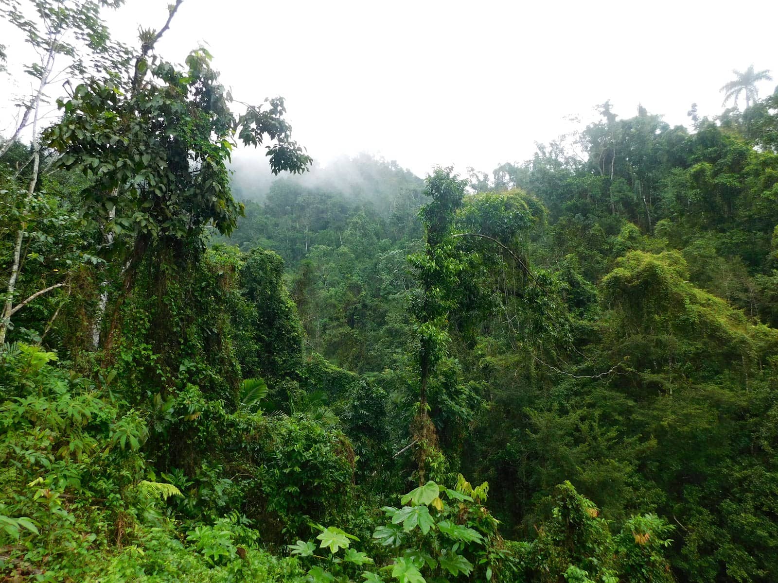 Scenic Hikes and Views