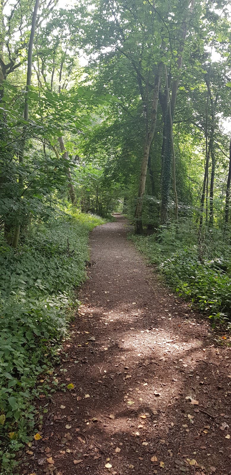 Rhydymwyn Valley Nature Reserve - Image 1