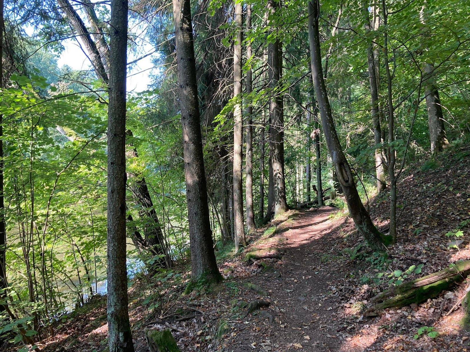 Luznice Canoe Route - Image 1