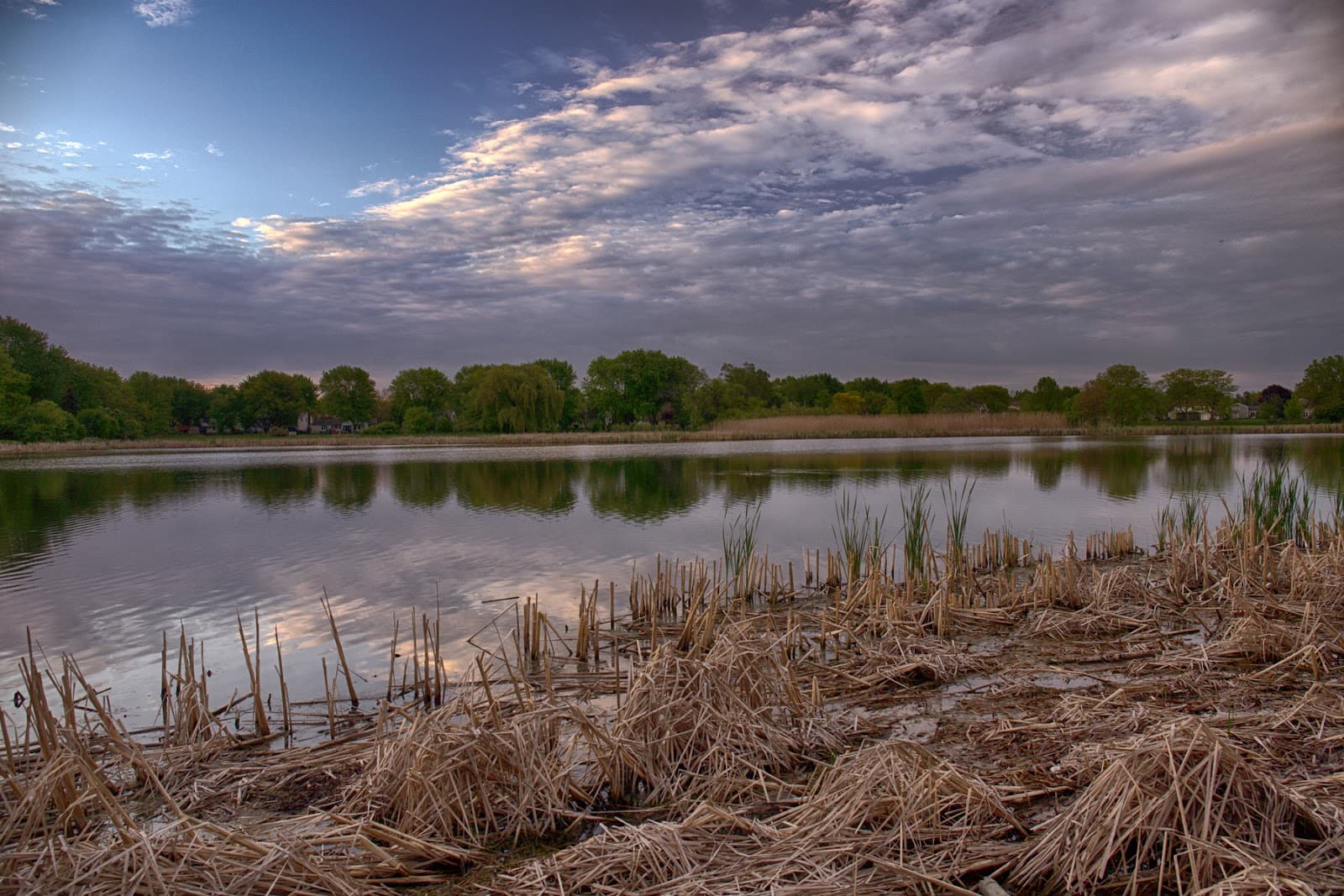 Gray Farm Park & Conservation Area - Image 1