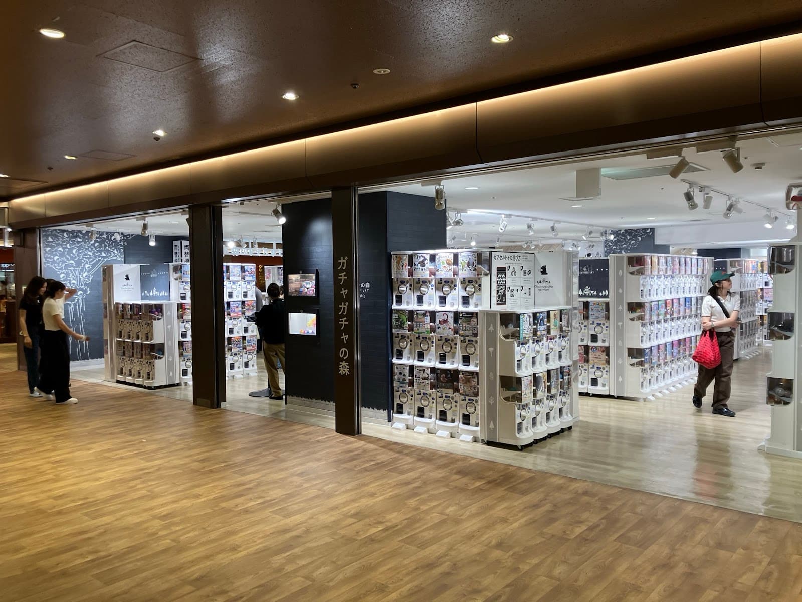 Daruma Gacha Machine - Image 1