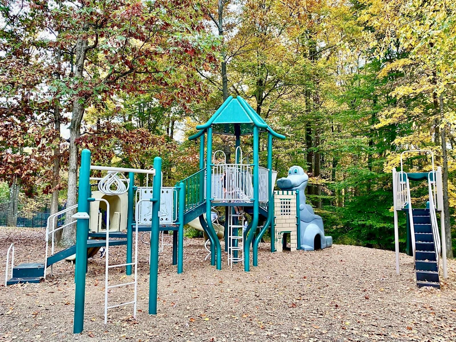 Concert or Special Event