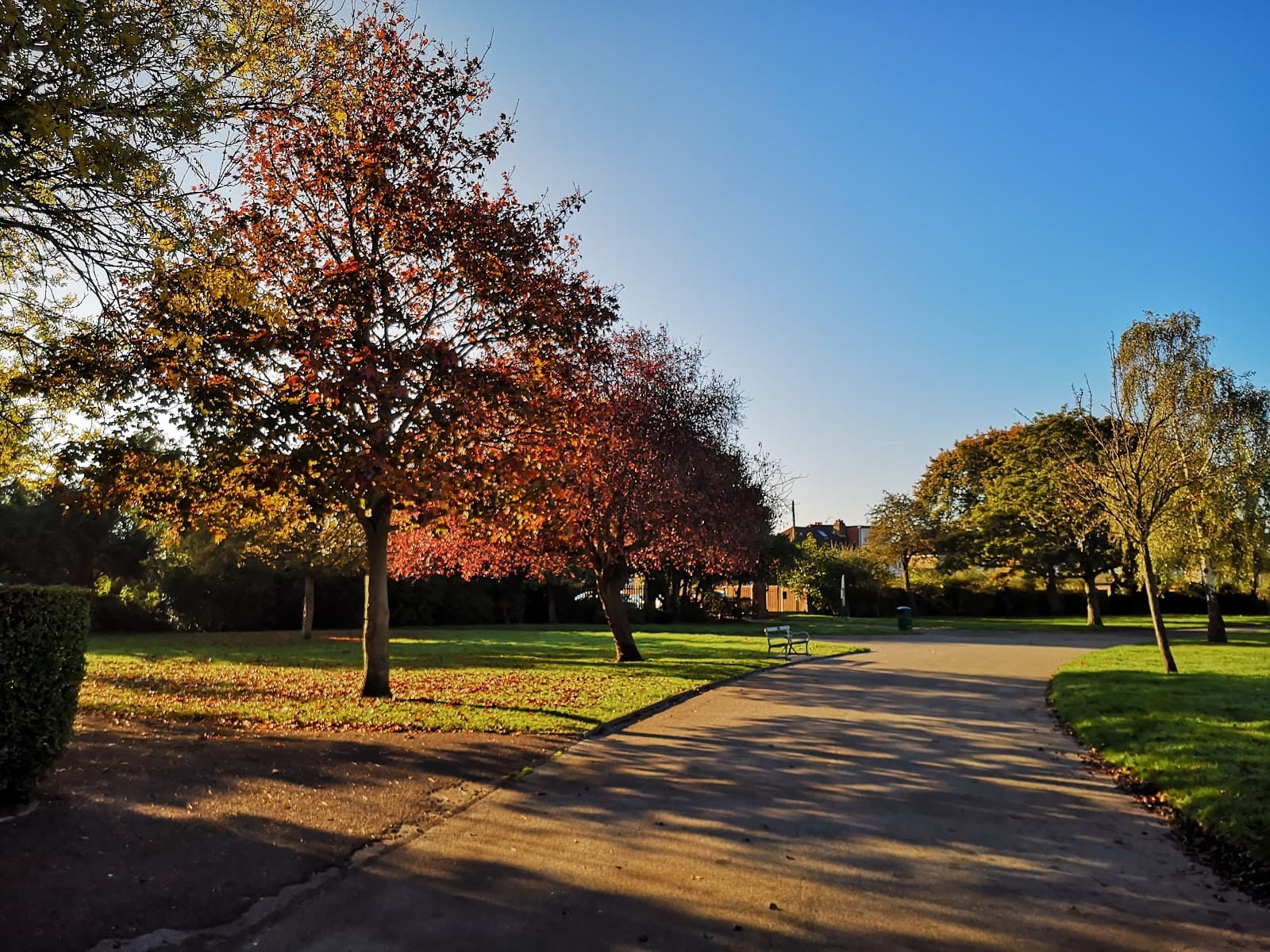 Hylands Park (Romford) - Image 1
