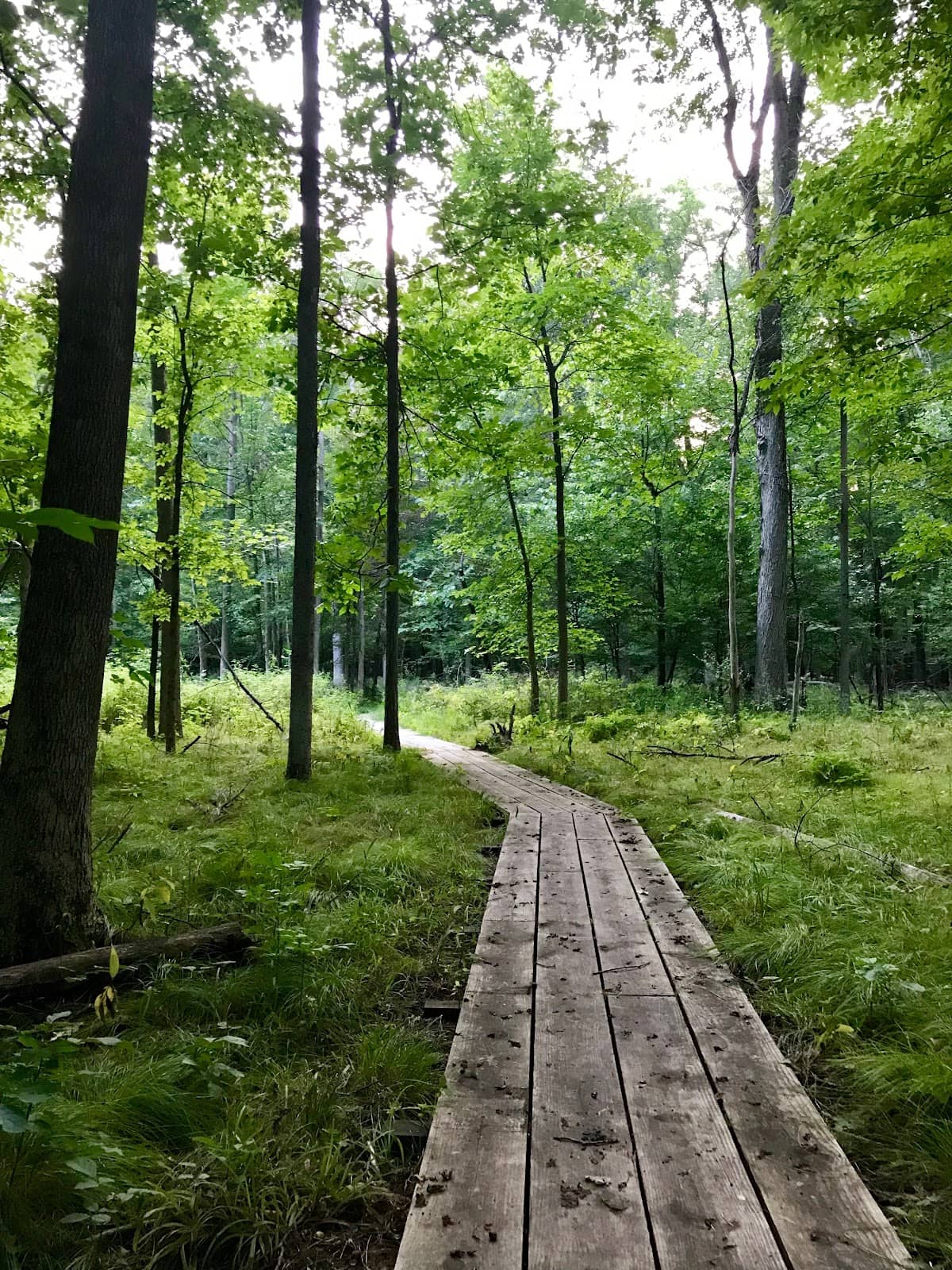 Proximity to Rail Trail