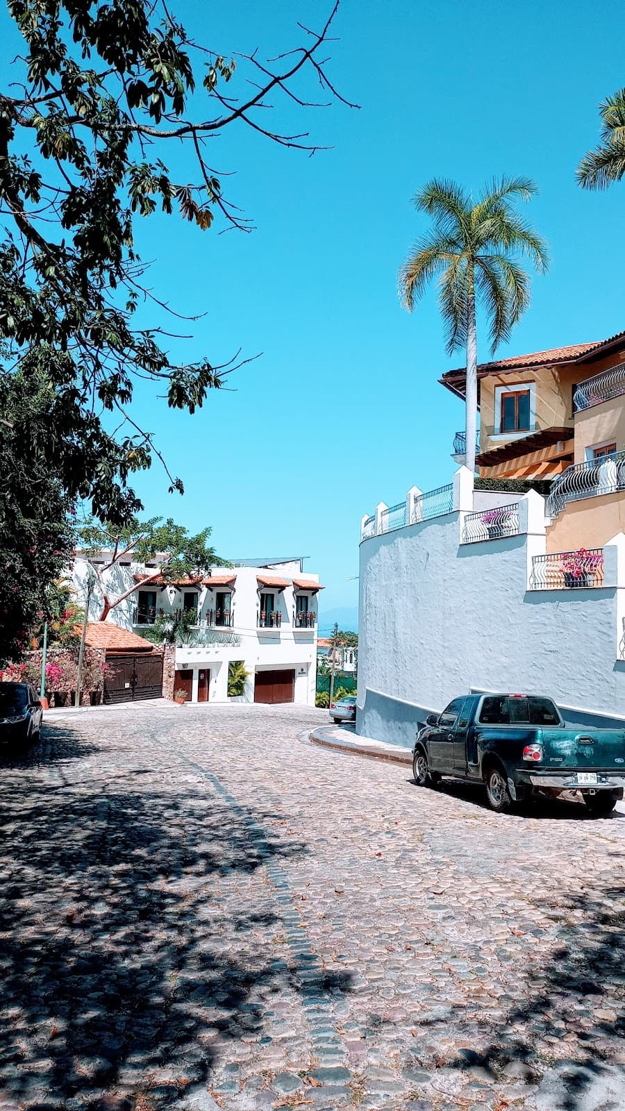 Conchas Chinas - Image 1