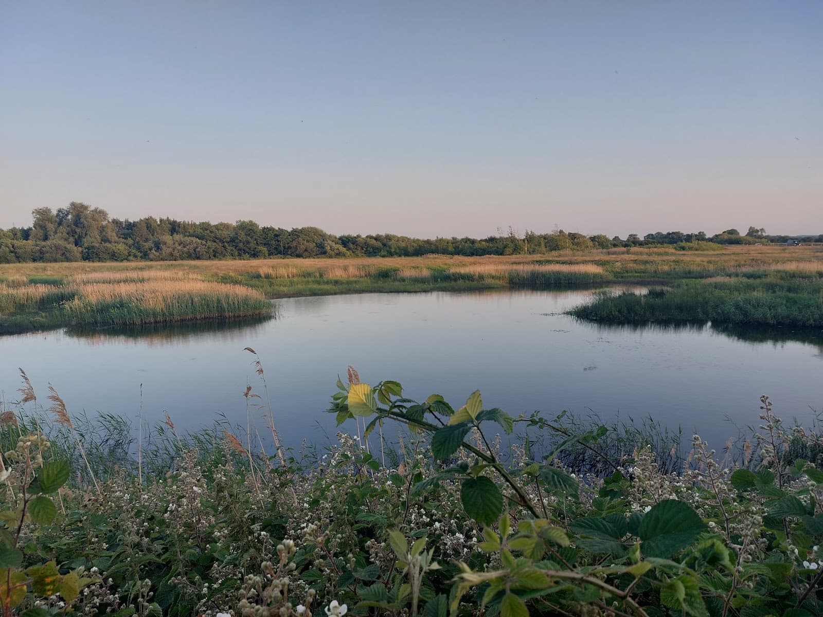 Willow Holt Nature Reserve - Image 1