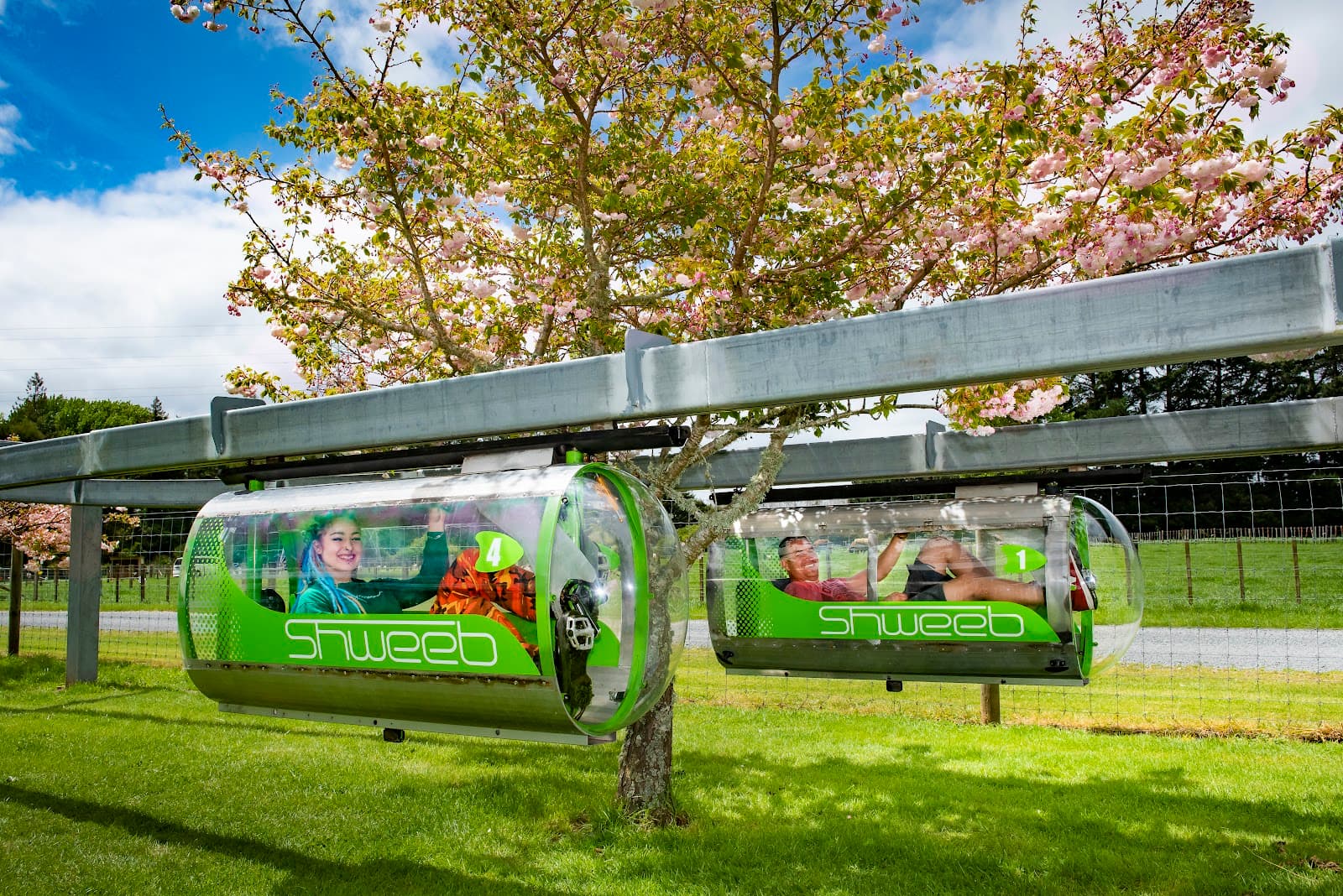 Velocity Valley Adventure Park - Image 1