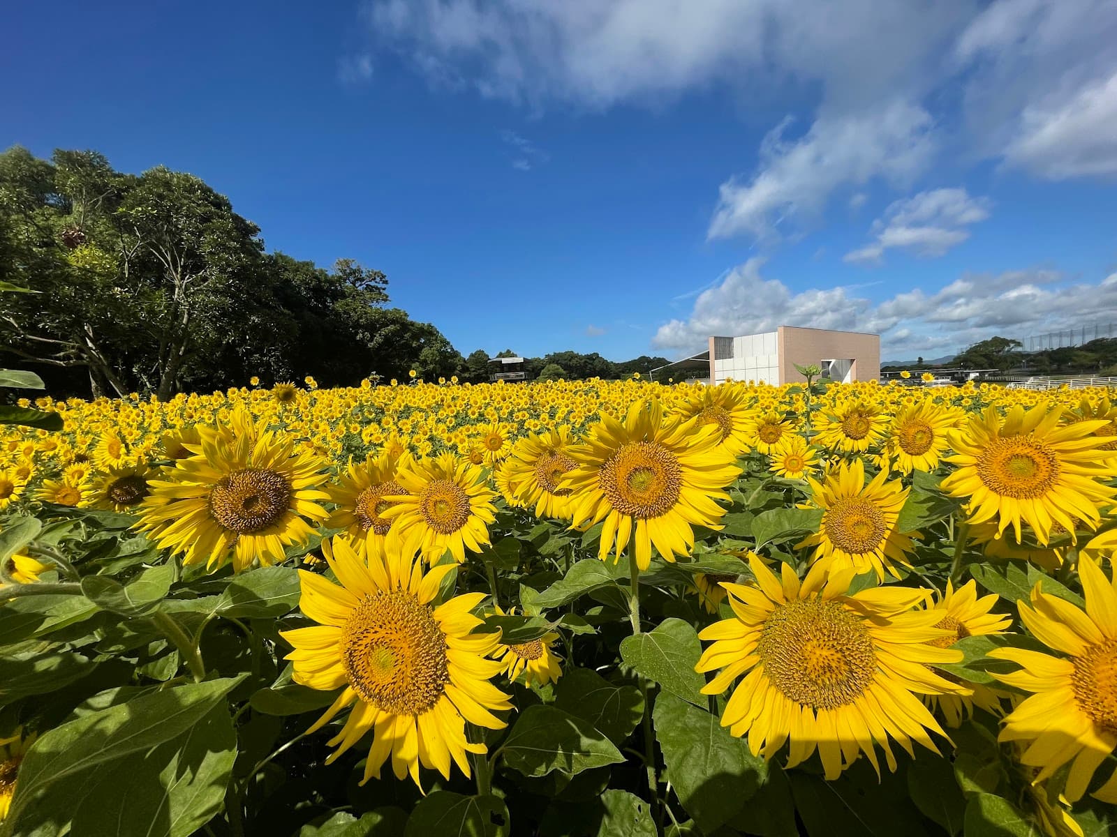 Inohanako Observation Park - Image 1