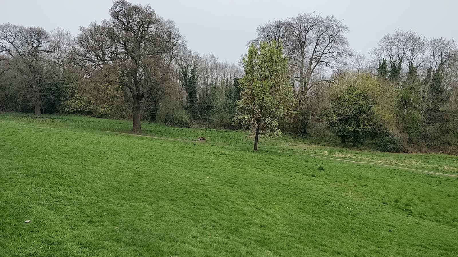 Priory Park - Image 1