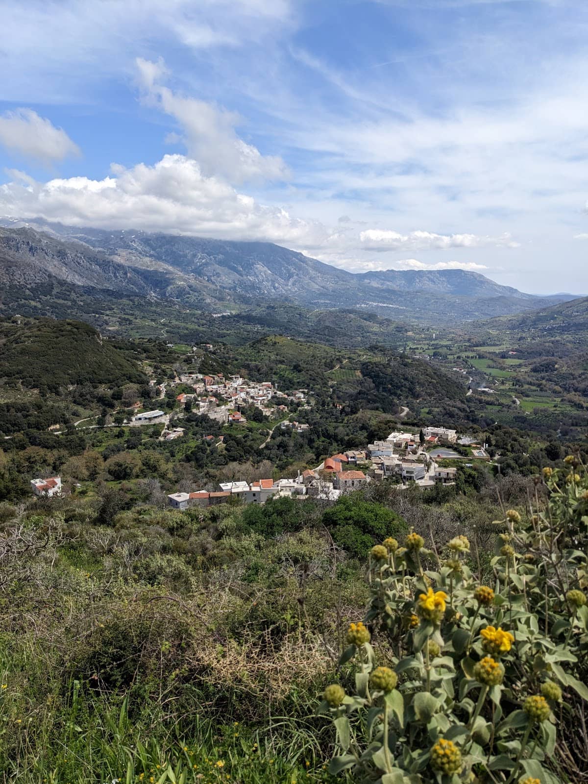 Authentic Archeological Remains