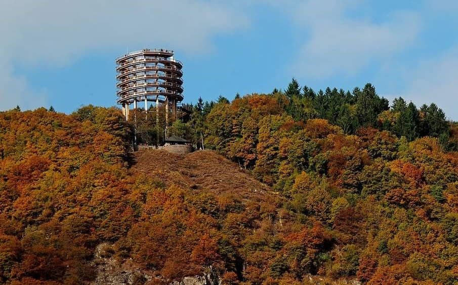 Baumwipfelpfad Saarschleife - Image 1