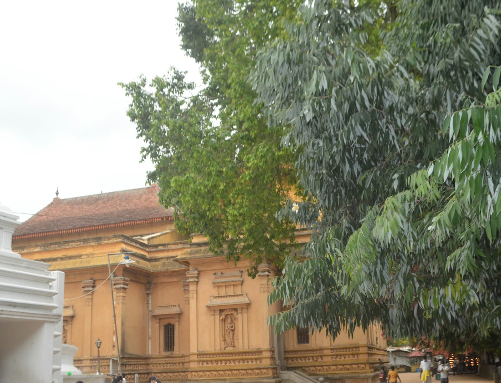 Kelaniya - Image 1