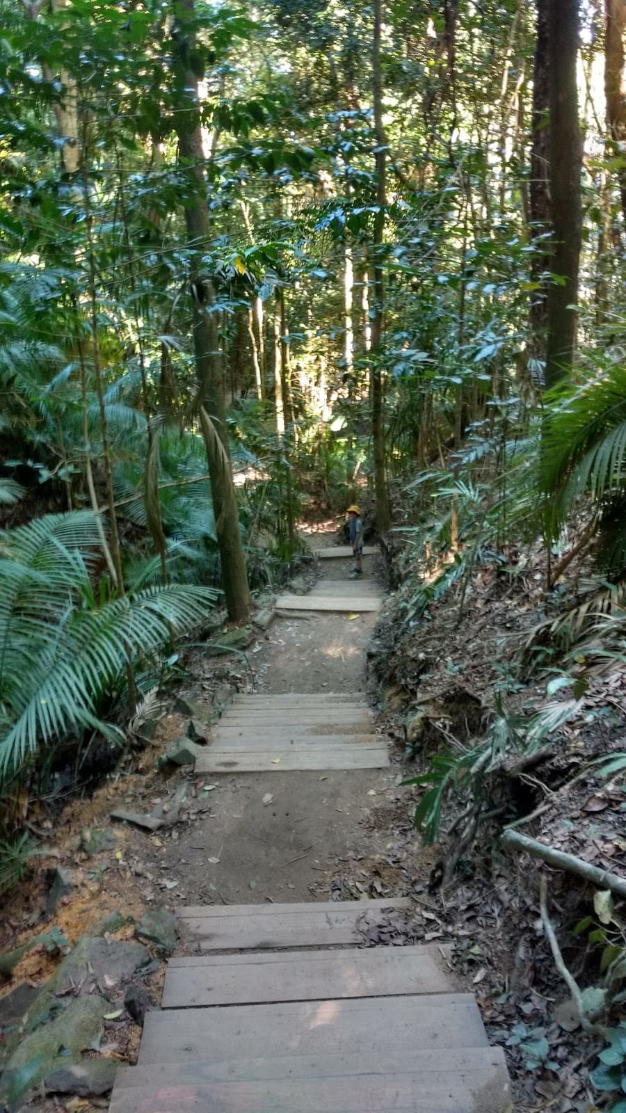 Red Arrow Circuit - Image 1