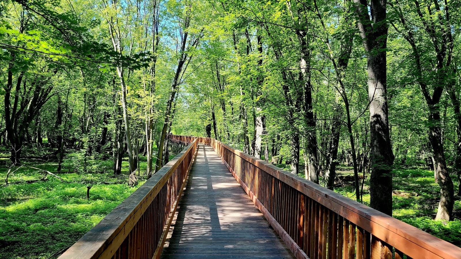 Parc écologique de l’Anse-du-Port (Nicolet) - Image 1