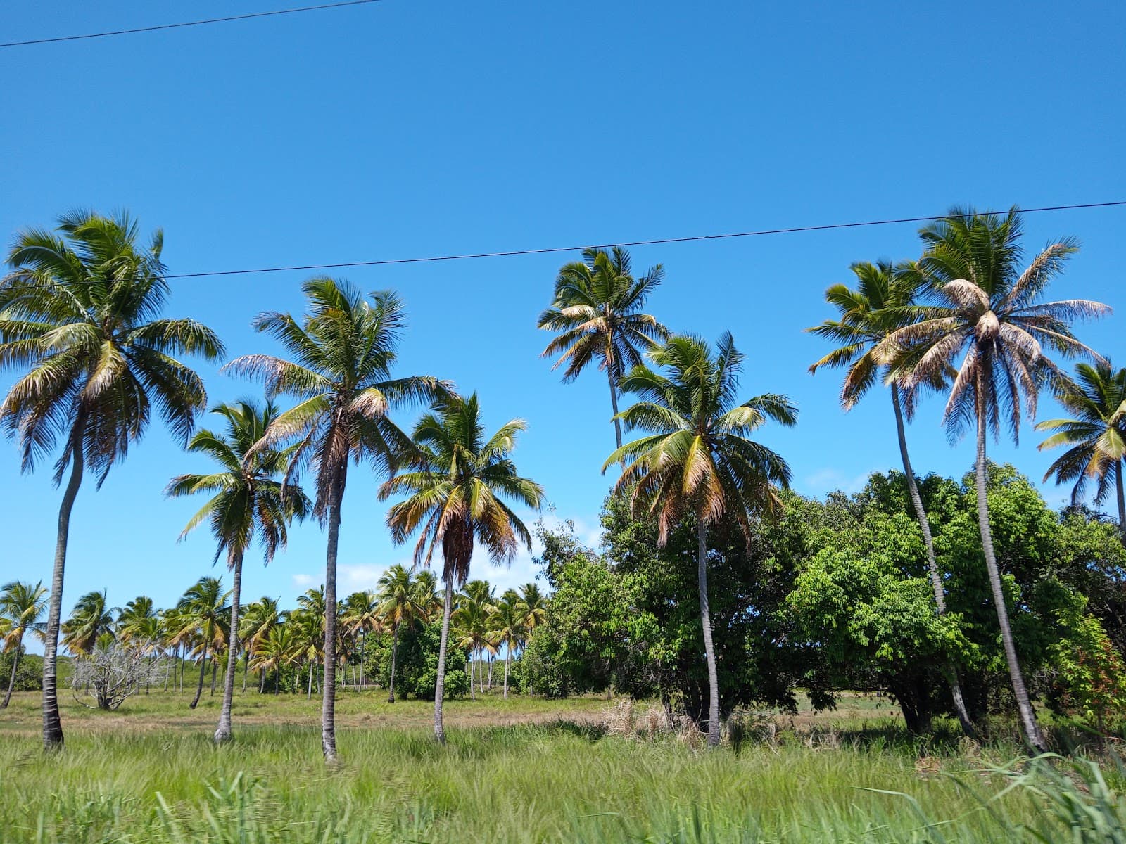Nossa Senhora do Ó - Image 1