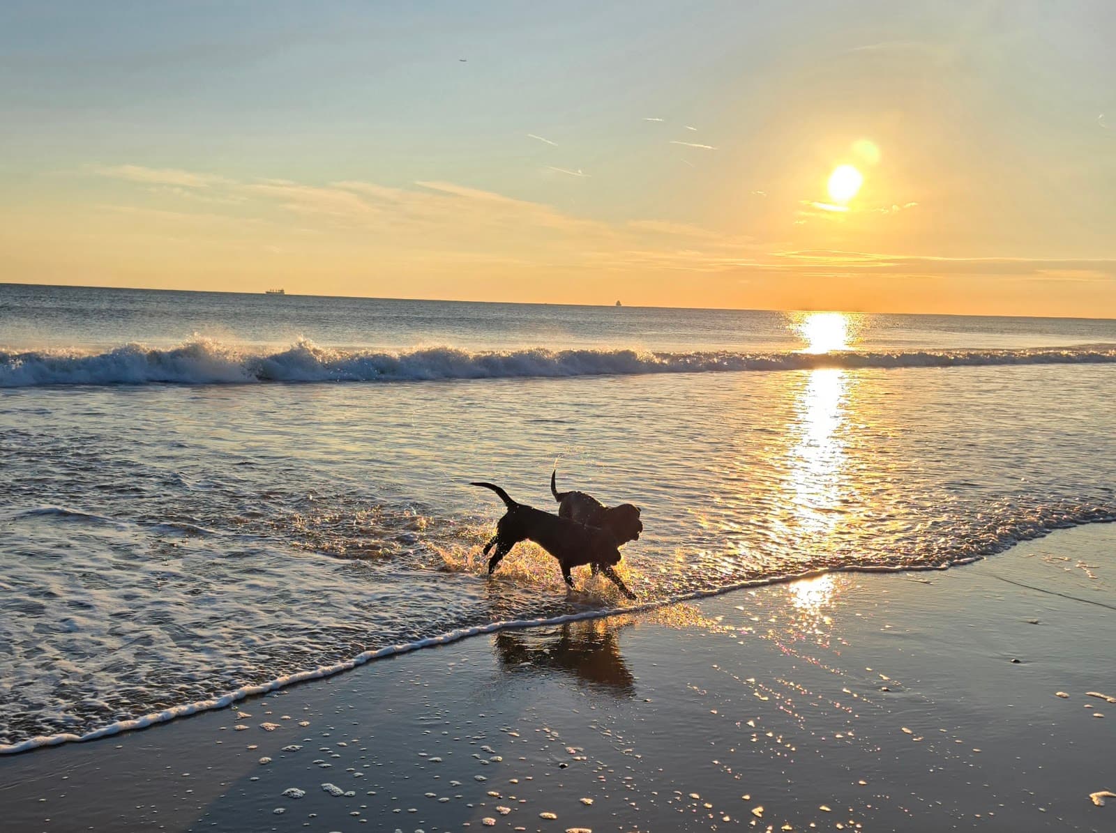 Panama Gardens - Image 1