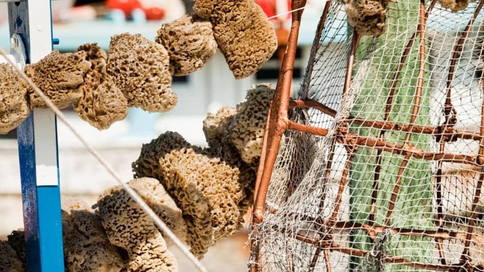 Sponge Diving Demonstrations