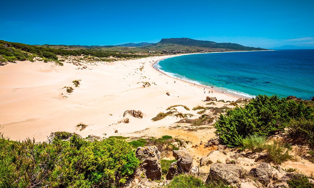 Bolonia Dune - Image 1