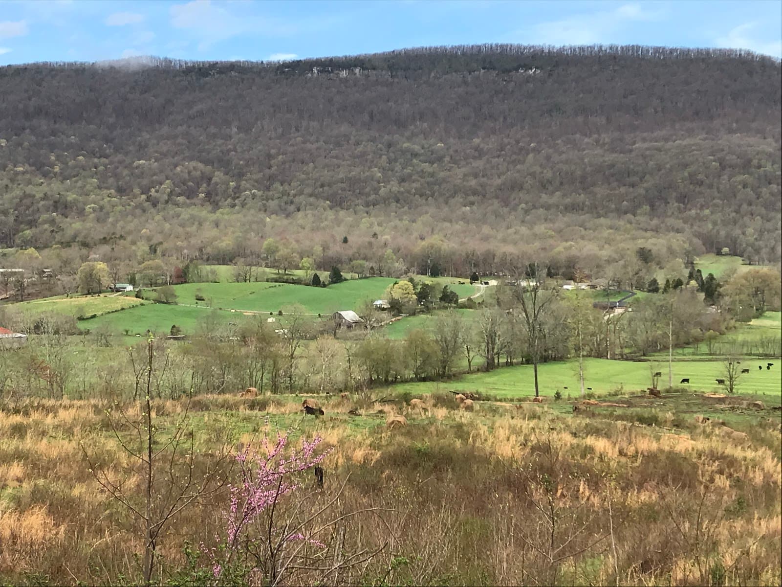 Grassy Cove National Natural Landmark - Image 1