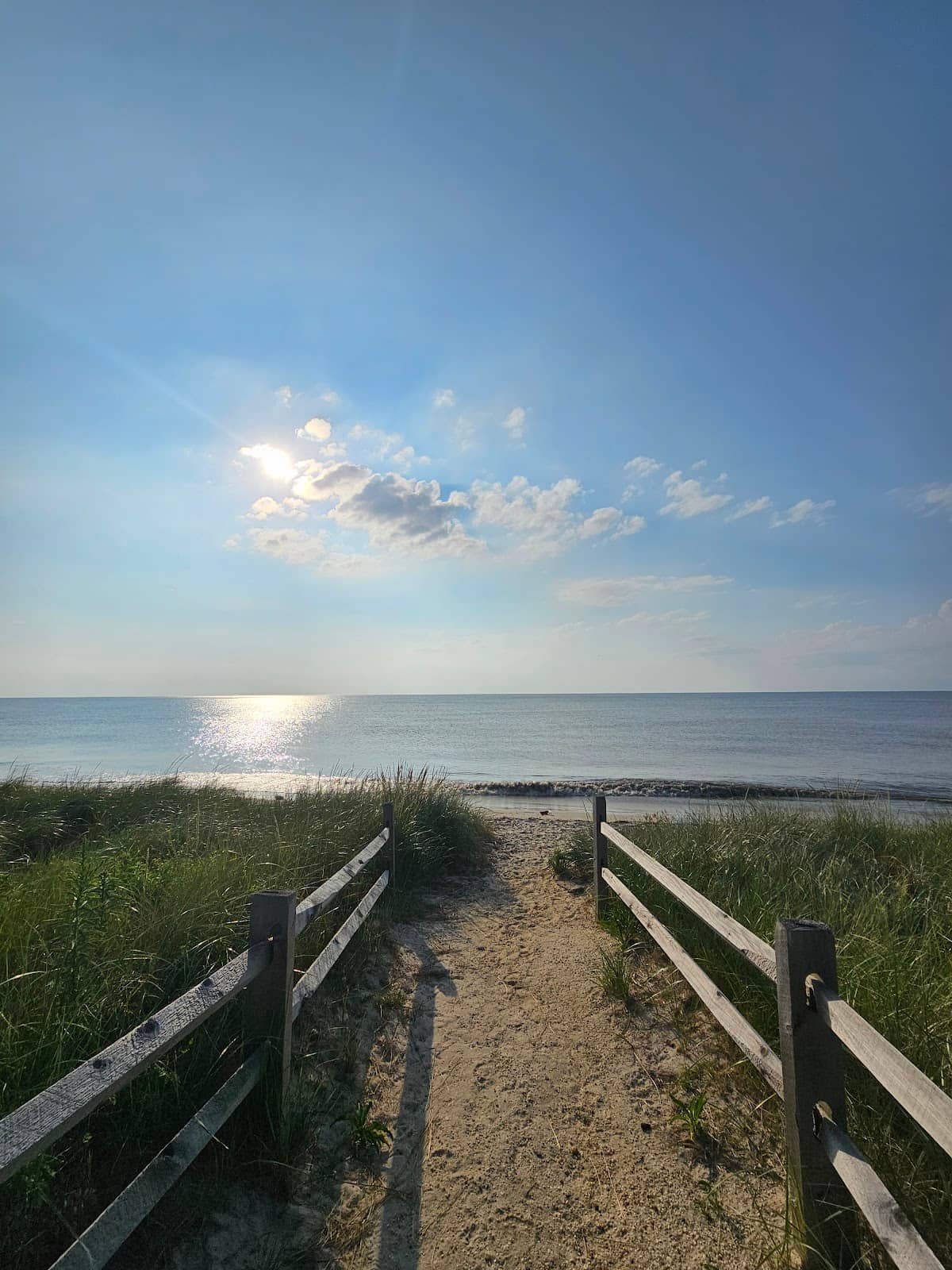 Horseshoe Crab Sightings