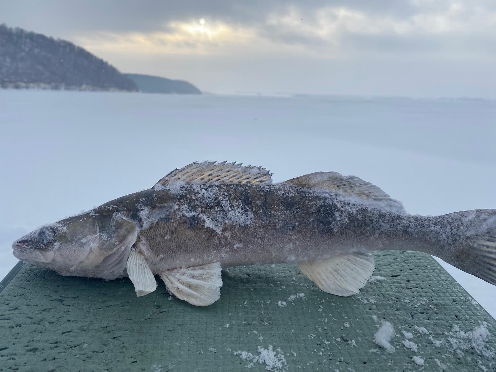 Komsomolsky District - Image 1