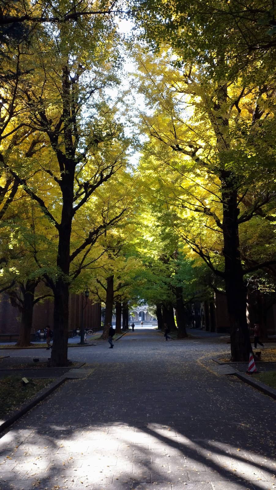 Nikutei Futago iki Hongo-sanchome