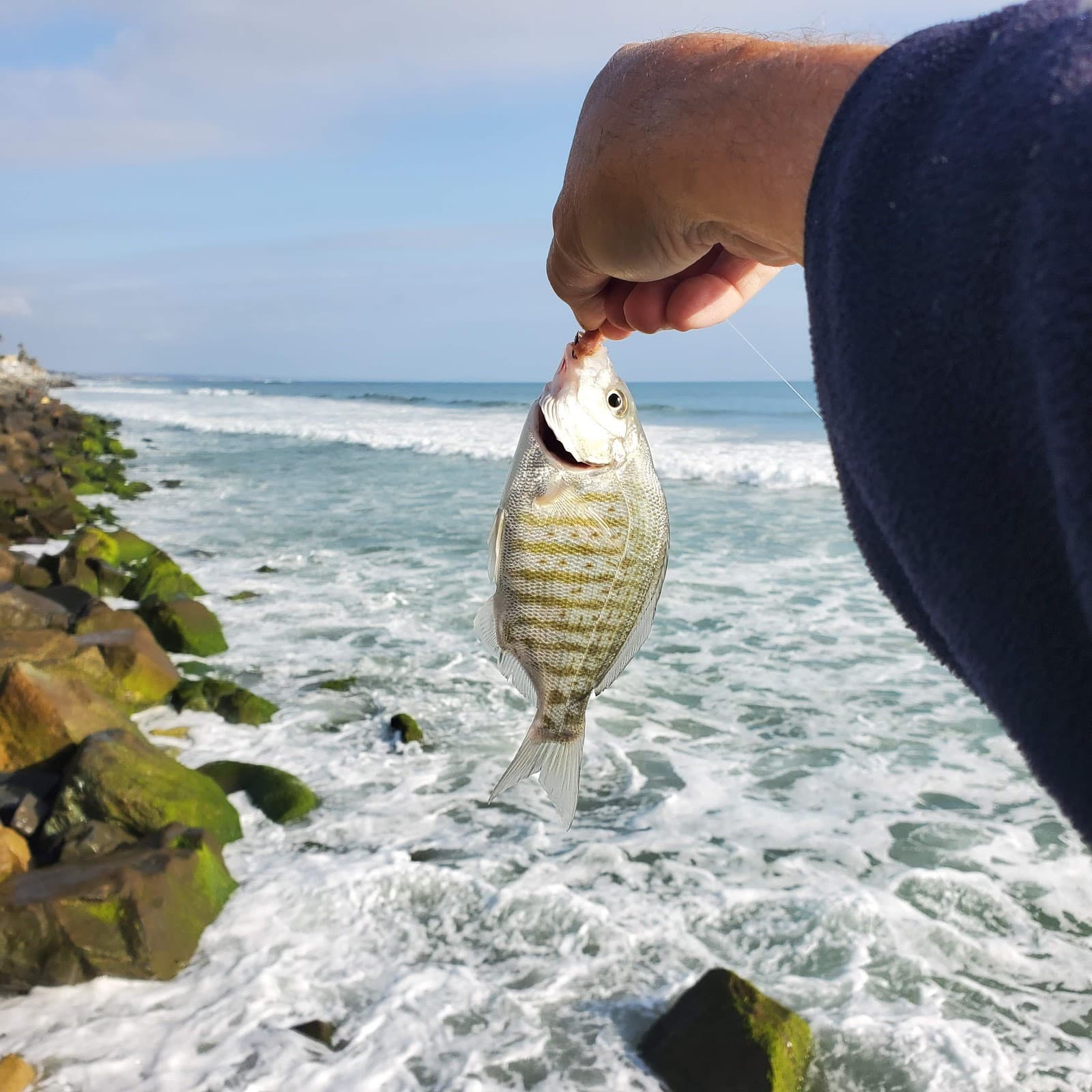 Wisconsin Street Beach - Image 1