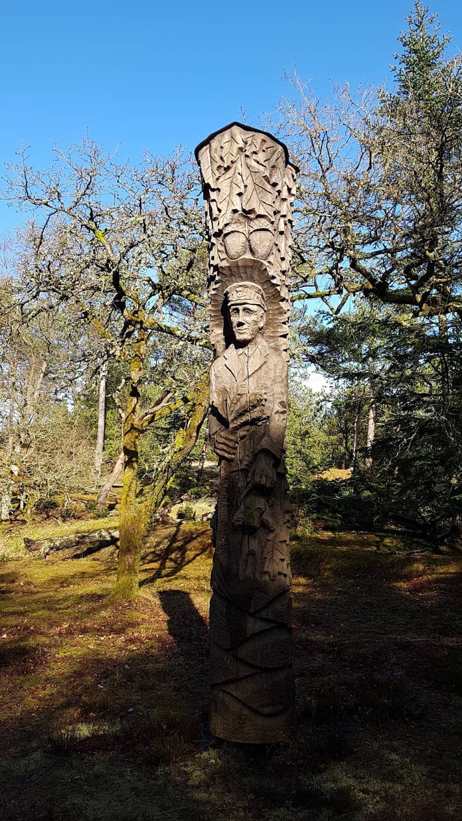 Mountain Biking Trails