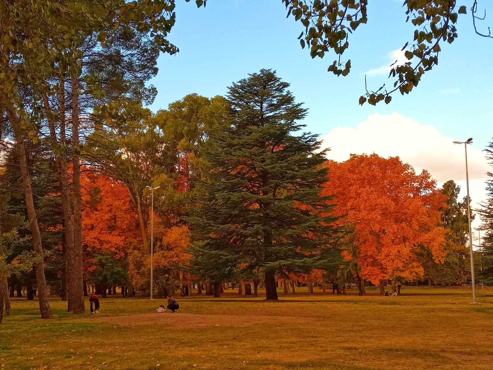Parque Hipólito Yrigoyen - Image 1