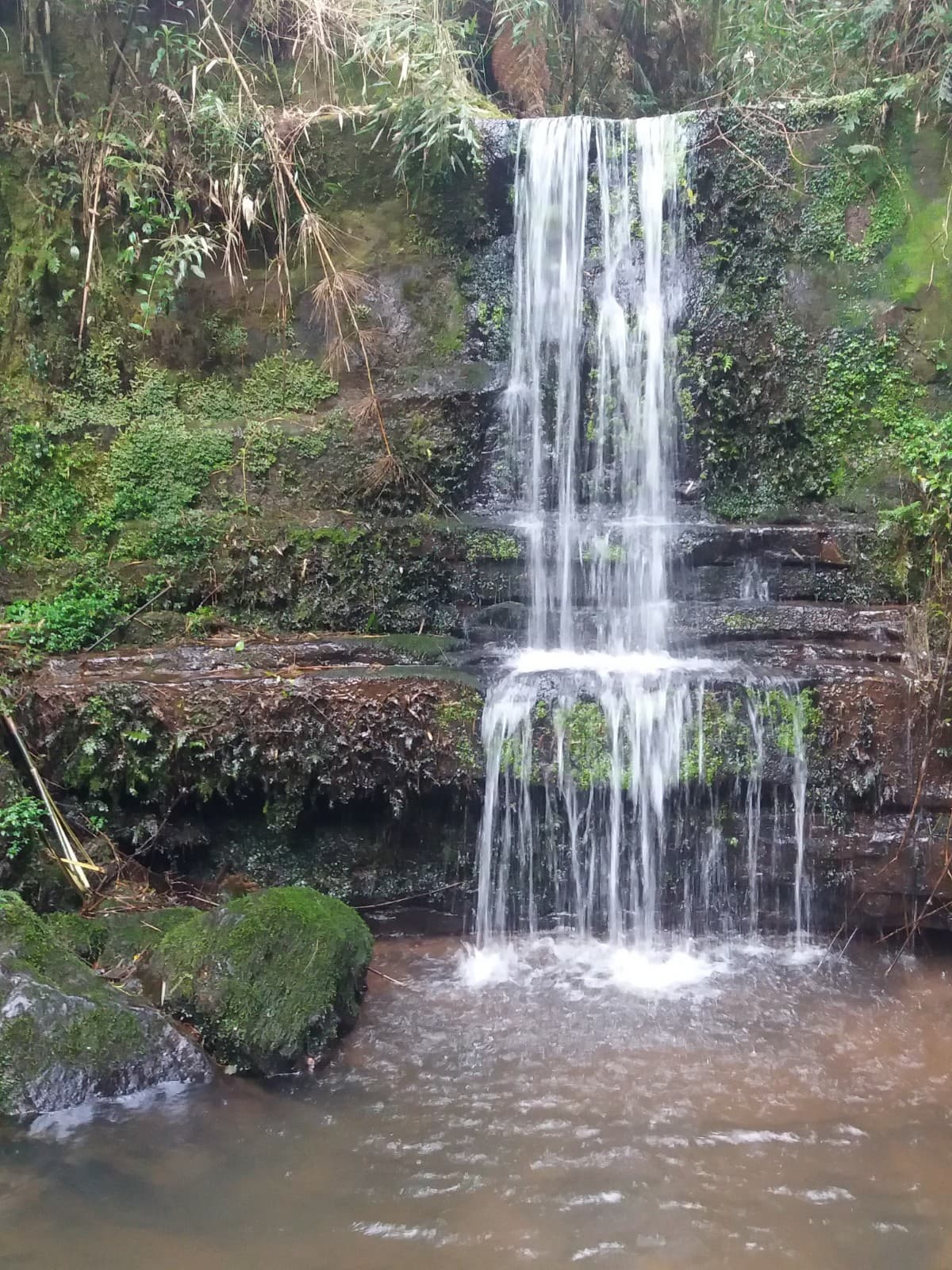 Parque Natural Municipal João José Theodoro da Costa Neto - Image 1