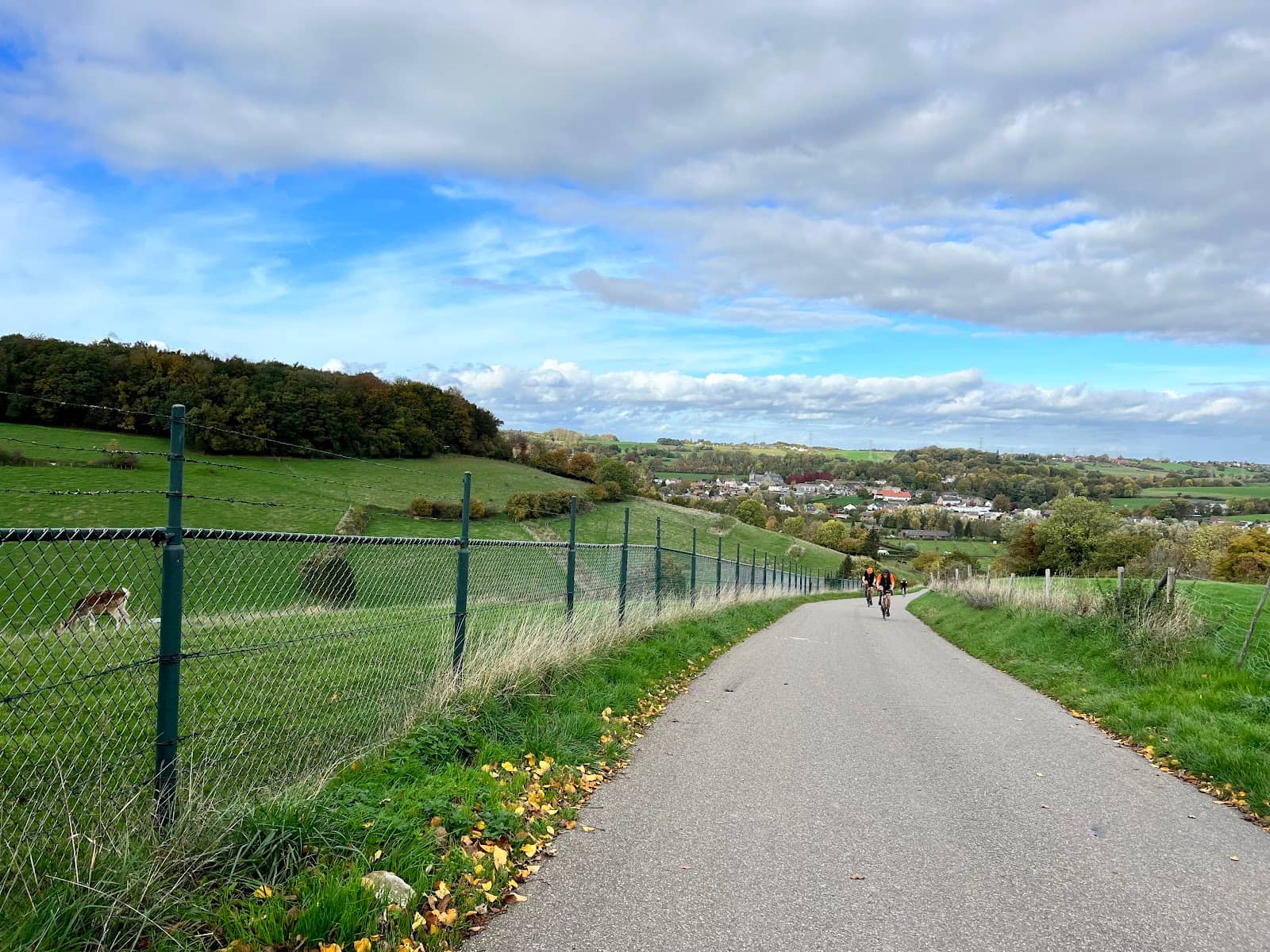 Panoramic Limburg Views