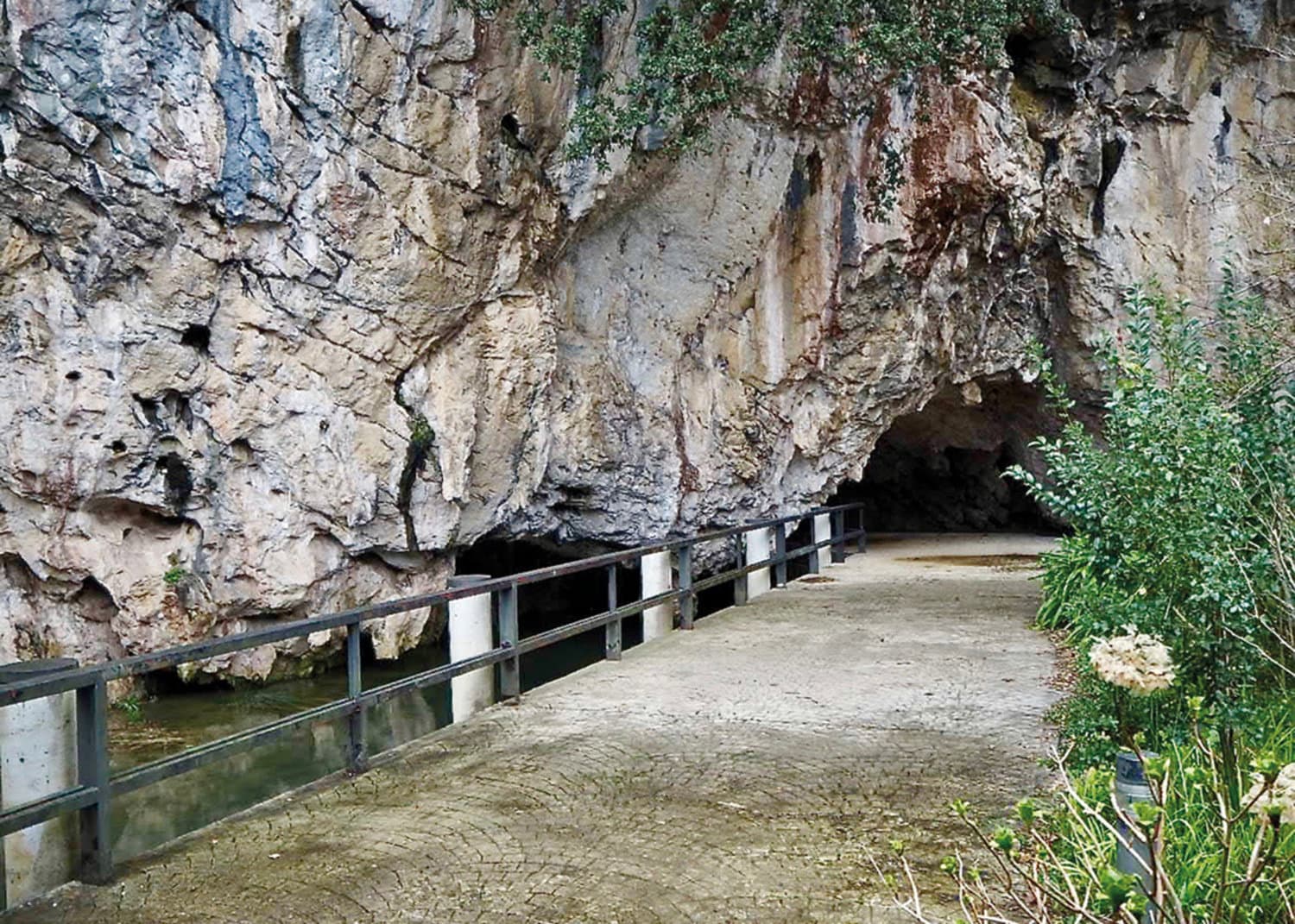 Tito Bustillo Cave - Image 1