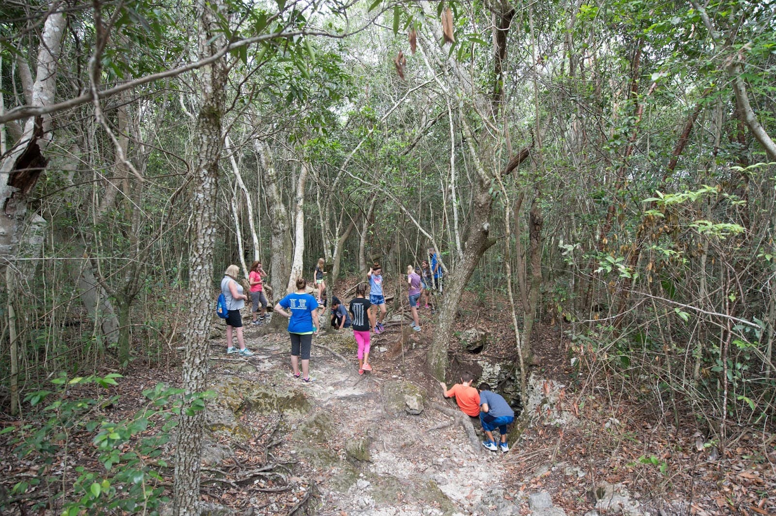 Camp Owaissa Bauer Park - Image 1