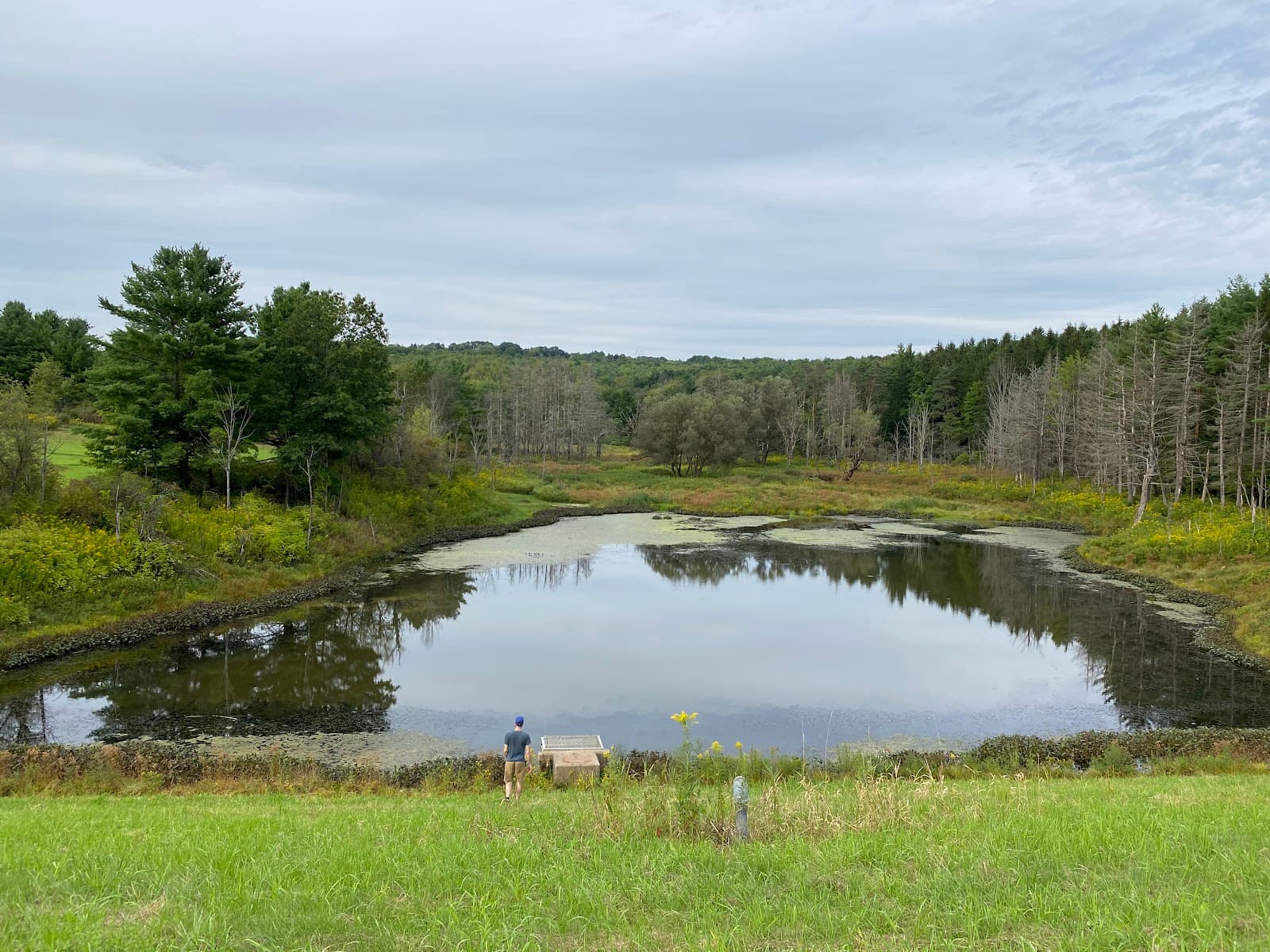 Finch Hollow Nature Center - Image 1