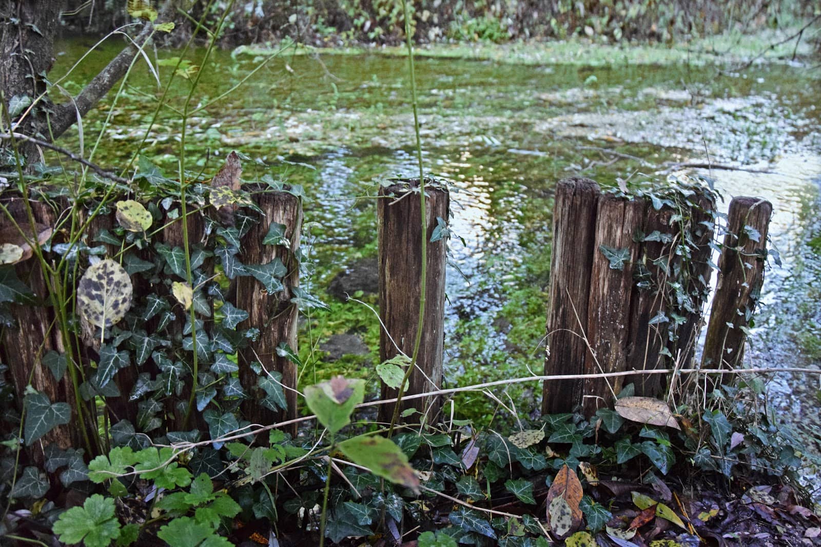Lago di San Domenico