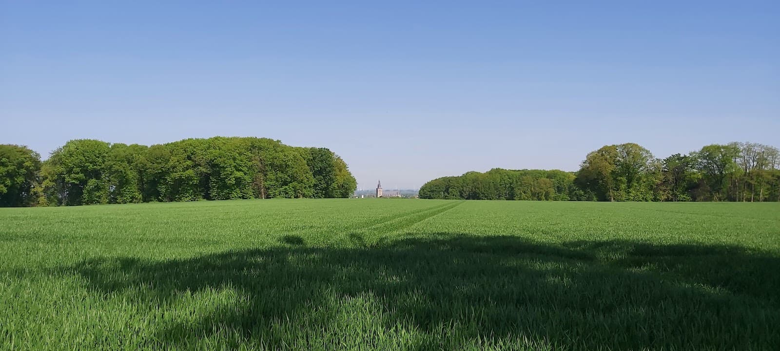 Fürstenberg (Castra Vetera site) - Image 1