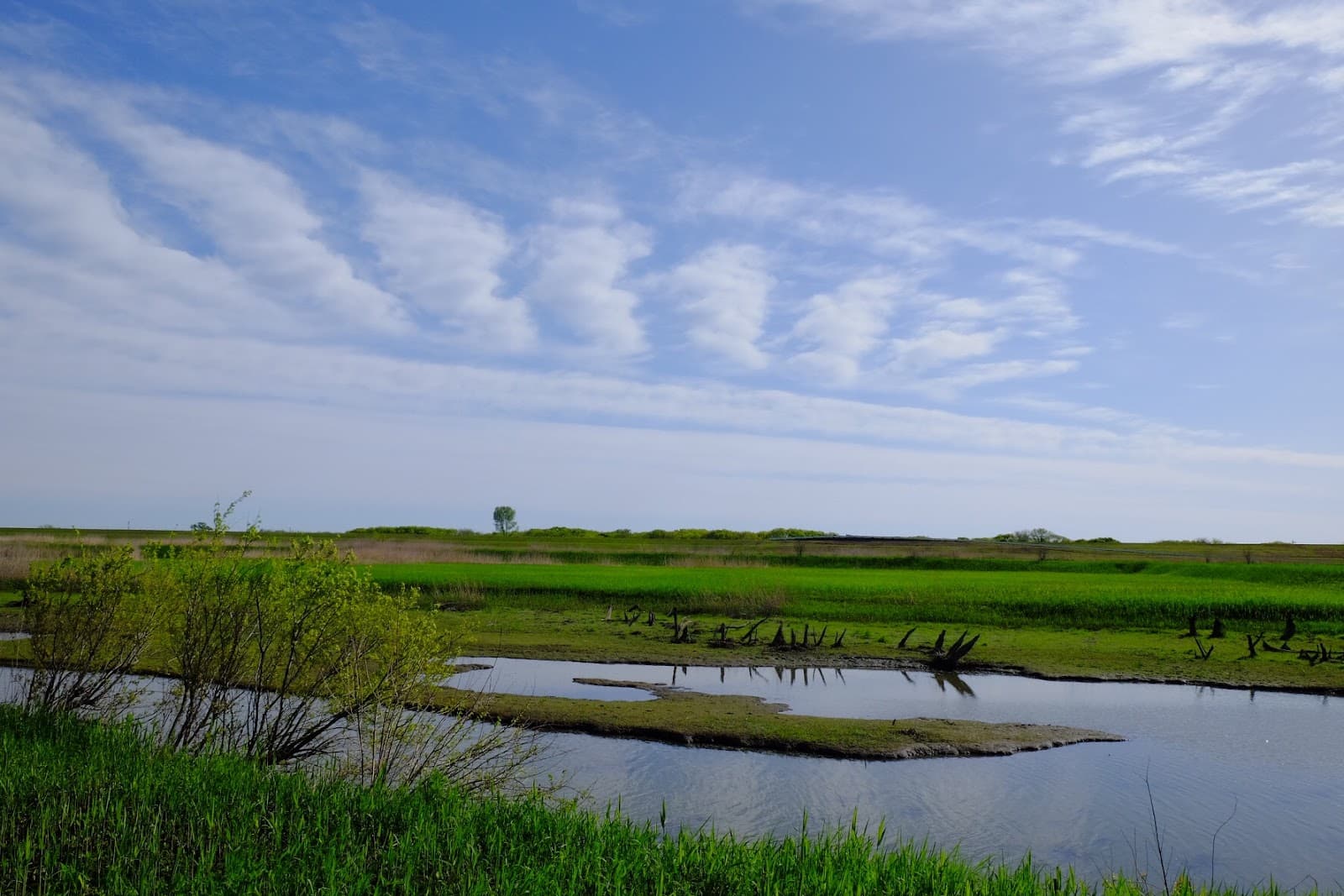 Watarase Retarding Basin (Sano) - Image 1