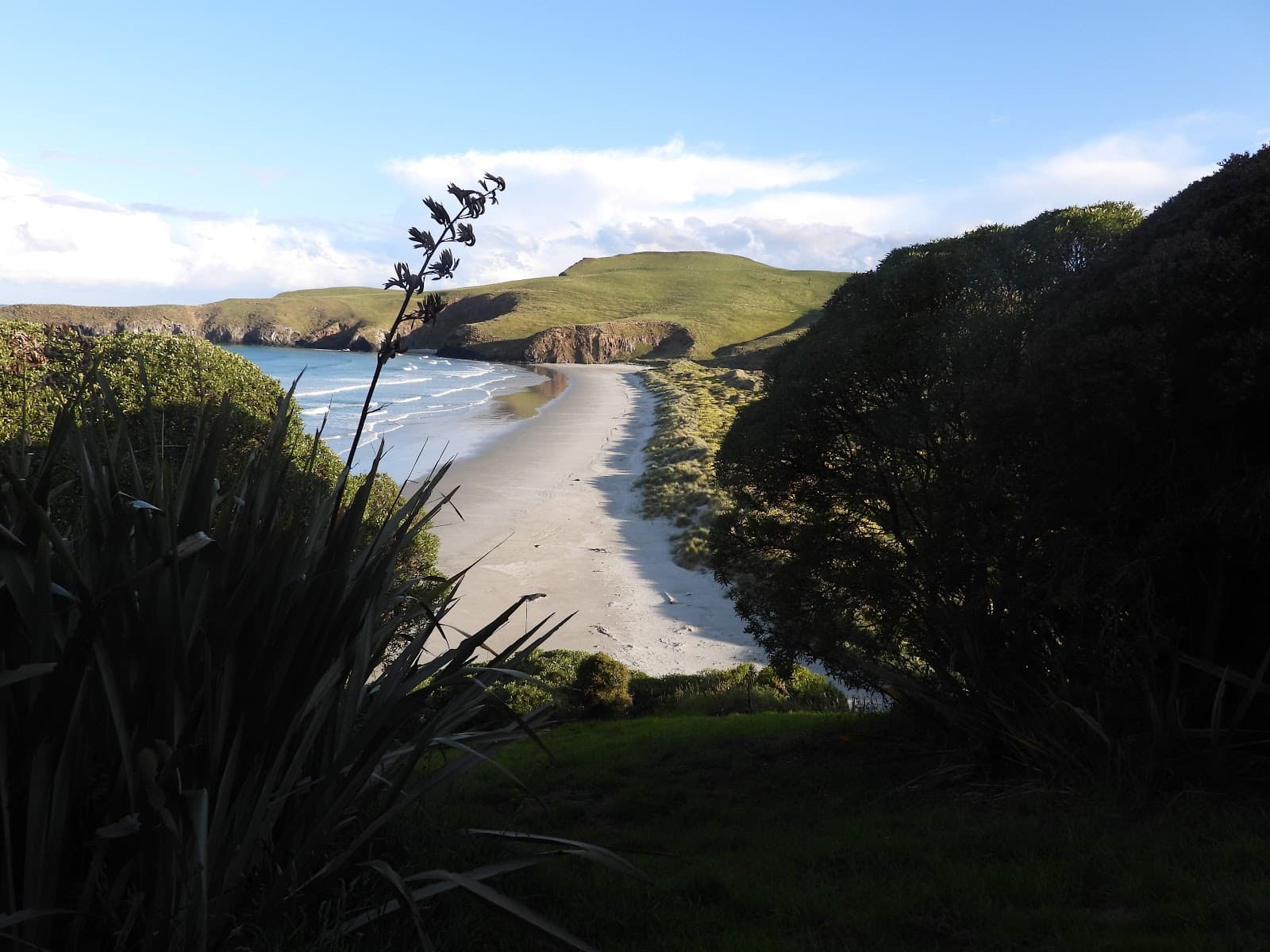 Otago Peninsula - Image 1