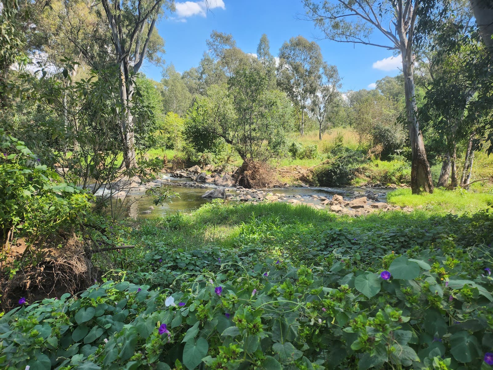 Taroko Trail Park - Image 1