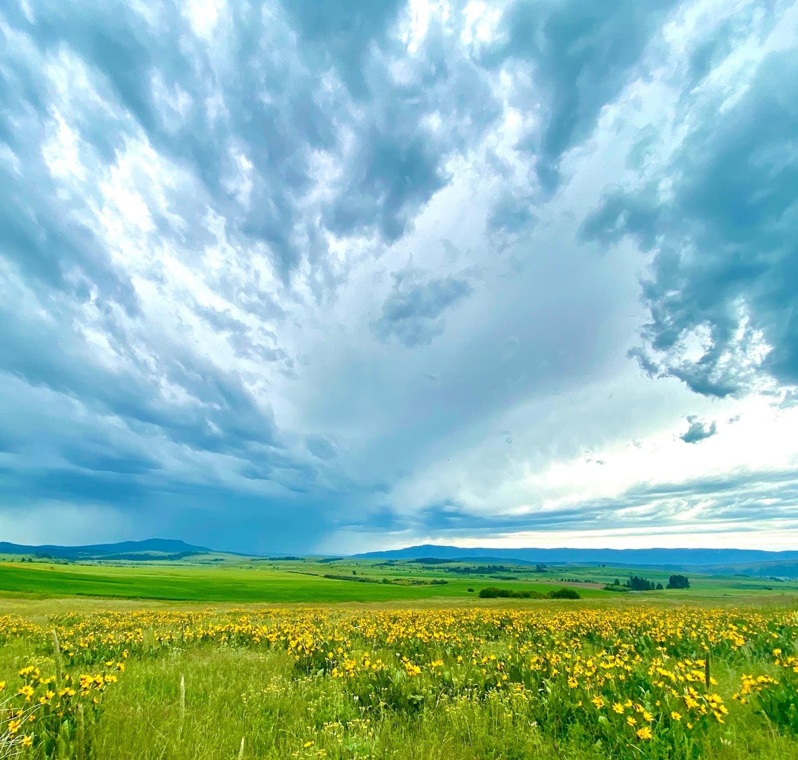 Zumwalt Prairie Preserve - Image 1