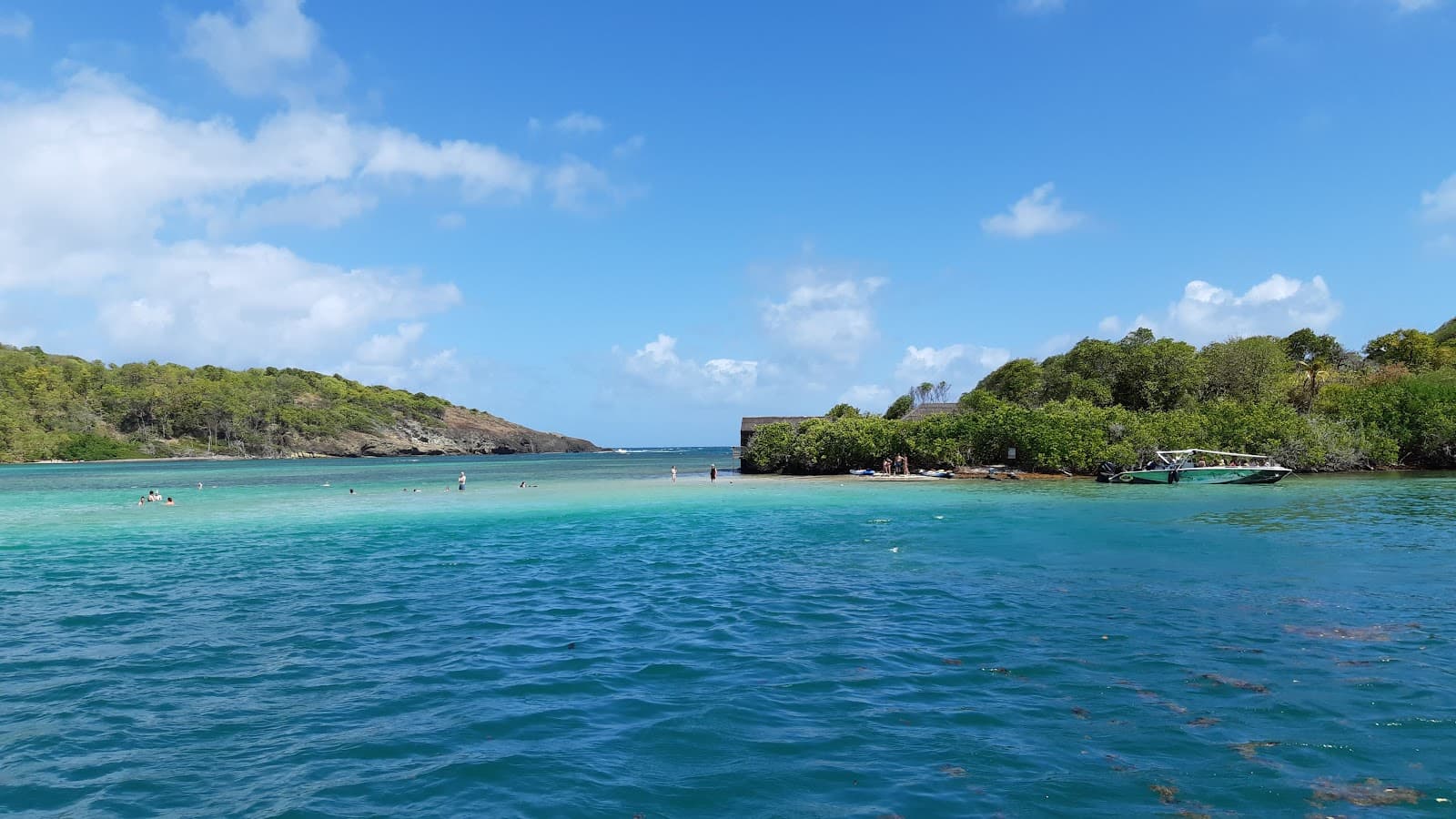 Îlet Chancel Iguanas - Image 1