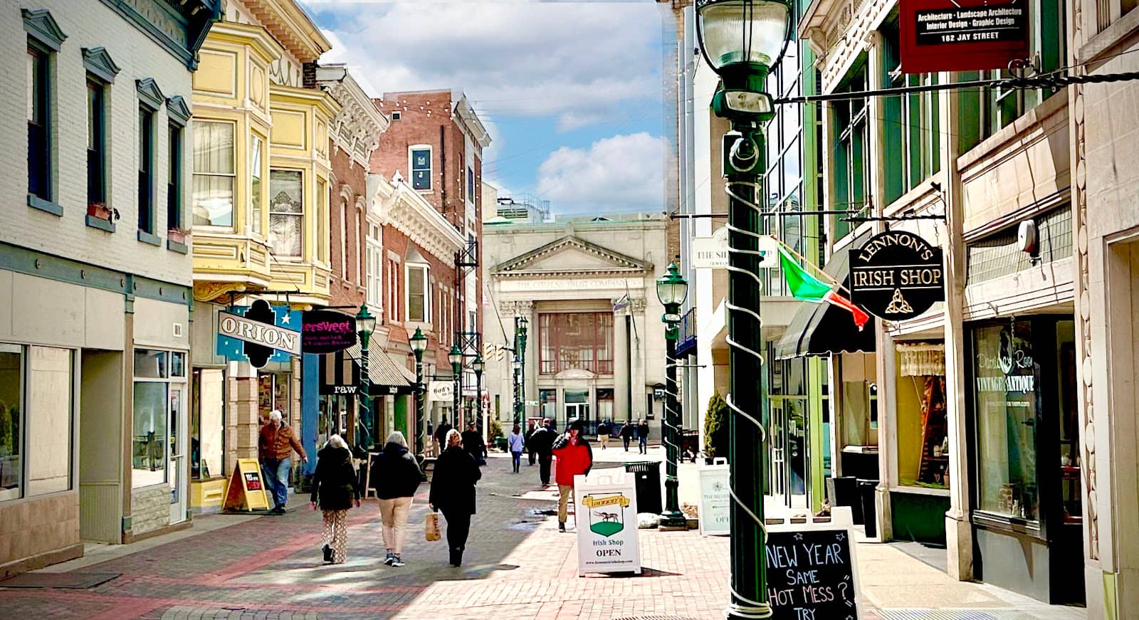 Bear and Bird Gallery