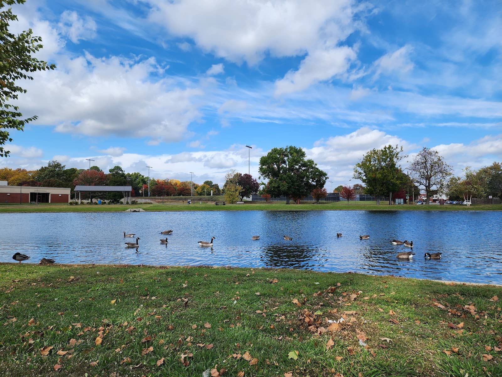 Murphy Park Pool