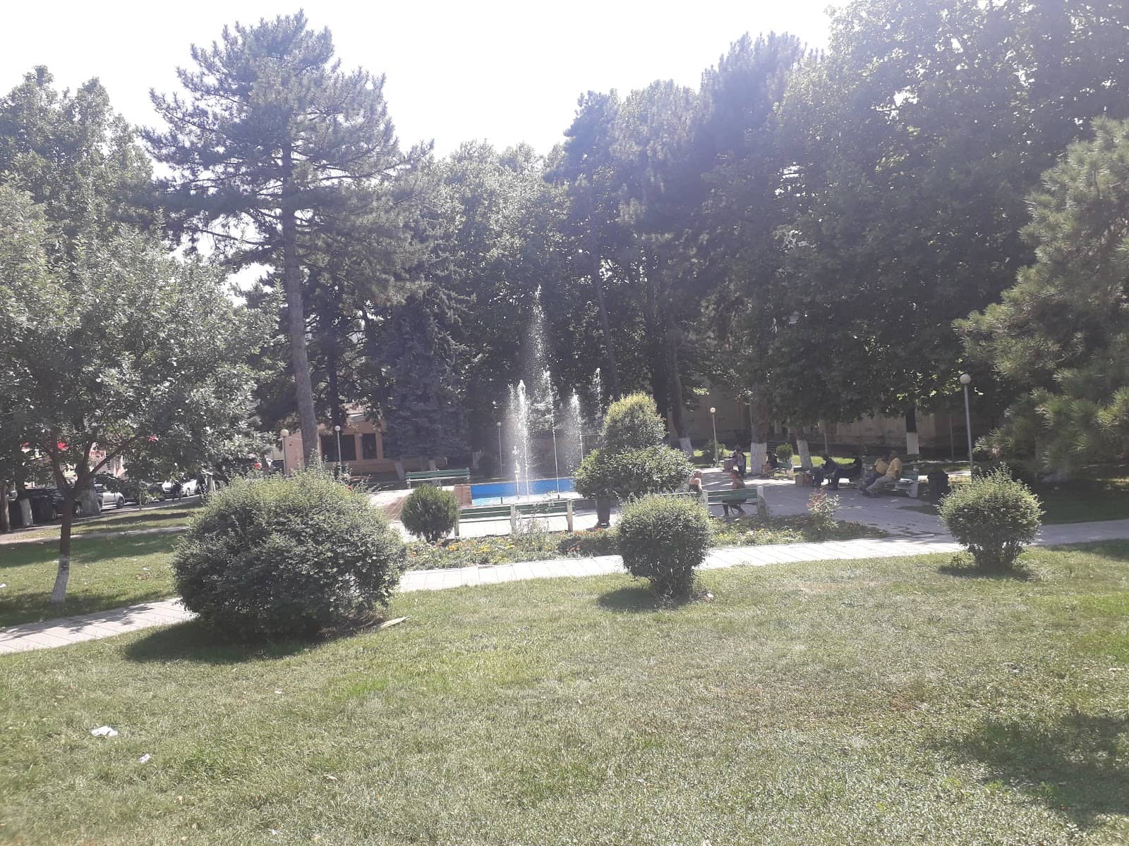 Theatrical Performances