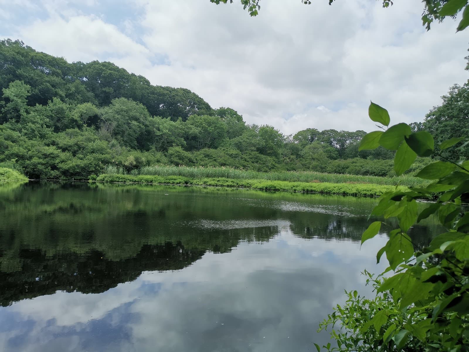 Makamah Nature Preserve - Image 1