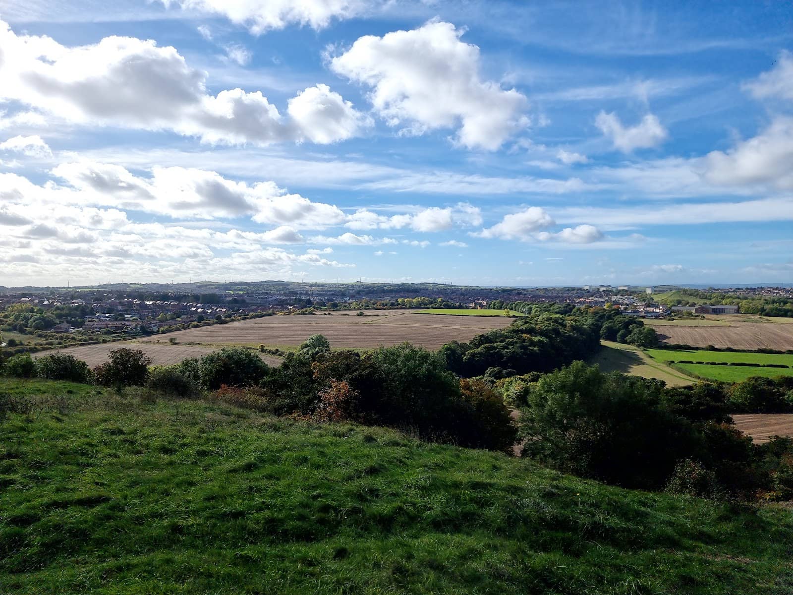 Native Flora & Fauna