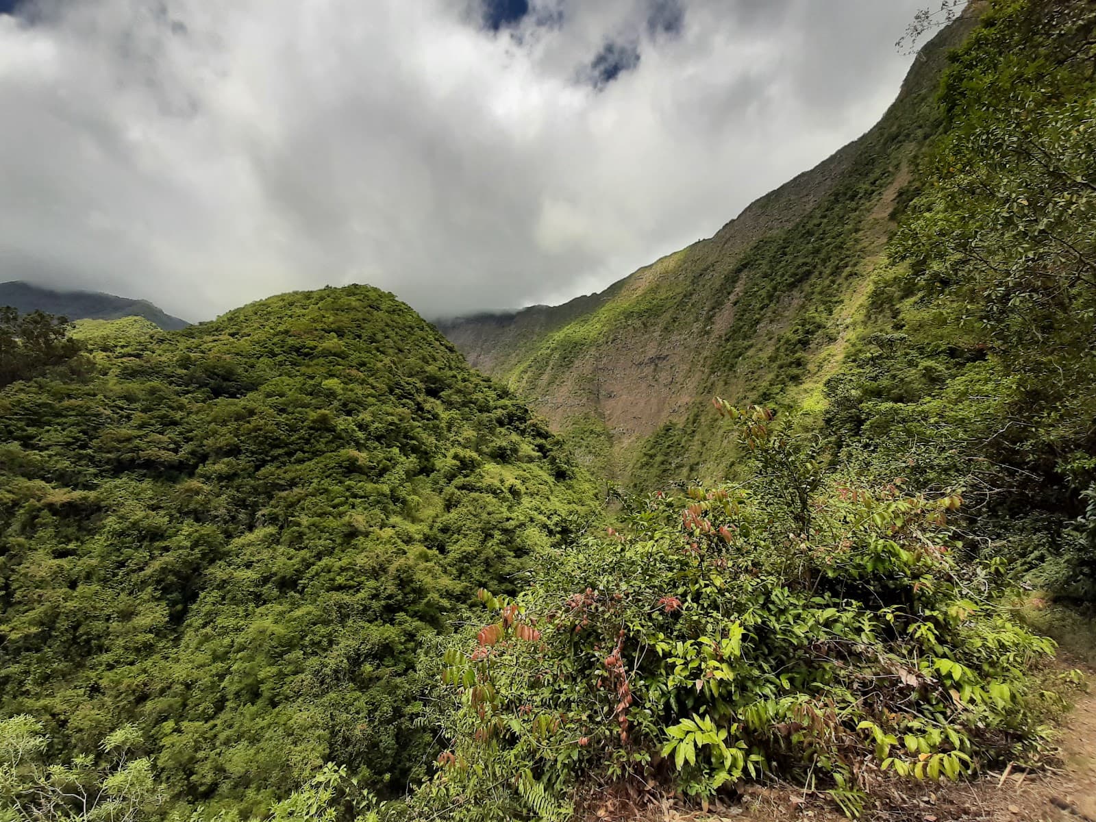 La Montagne - Image 1